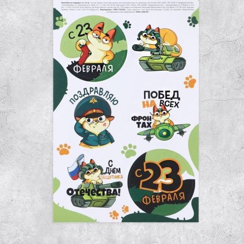 Наклейки «23 февраля», кот, 9*16см, лист